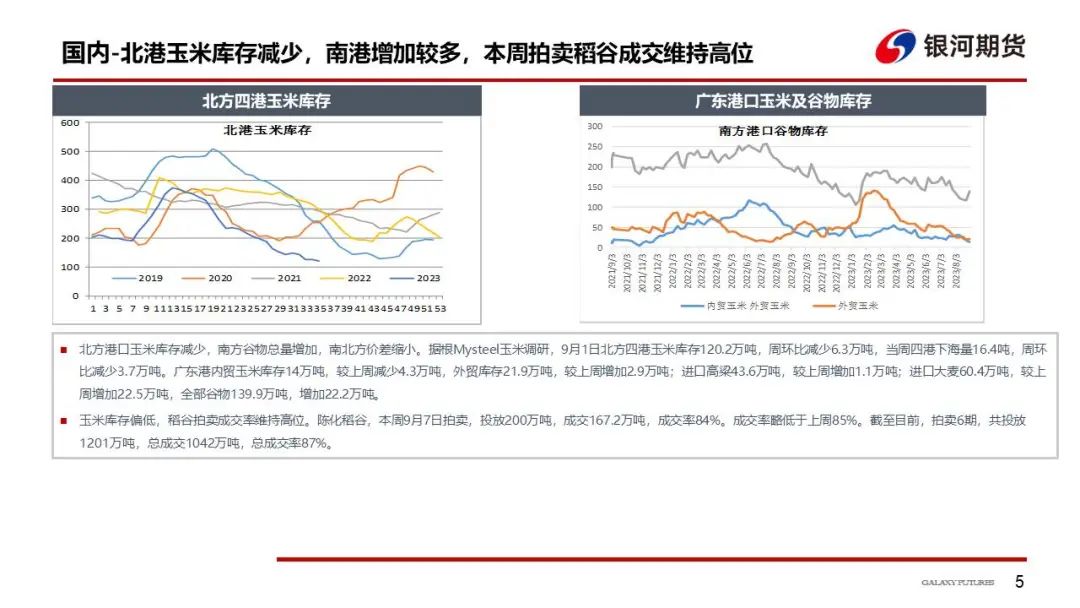 华北玉米陆续上市 玉米现货下跌