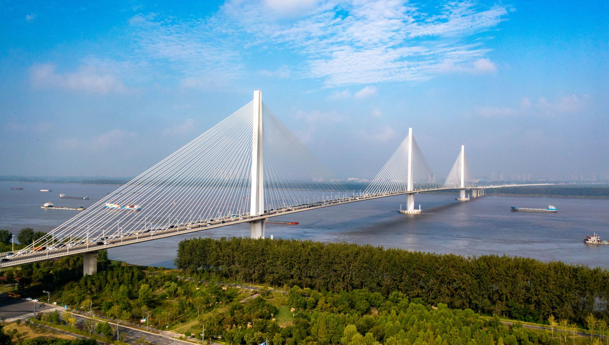 南京日报/紫金山新闻 段仁虎 摄