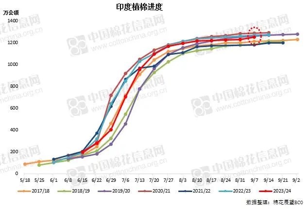 印度植棉收尾持续推进 面积持续居于近年中等偏高水平