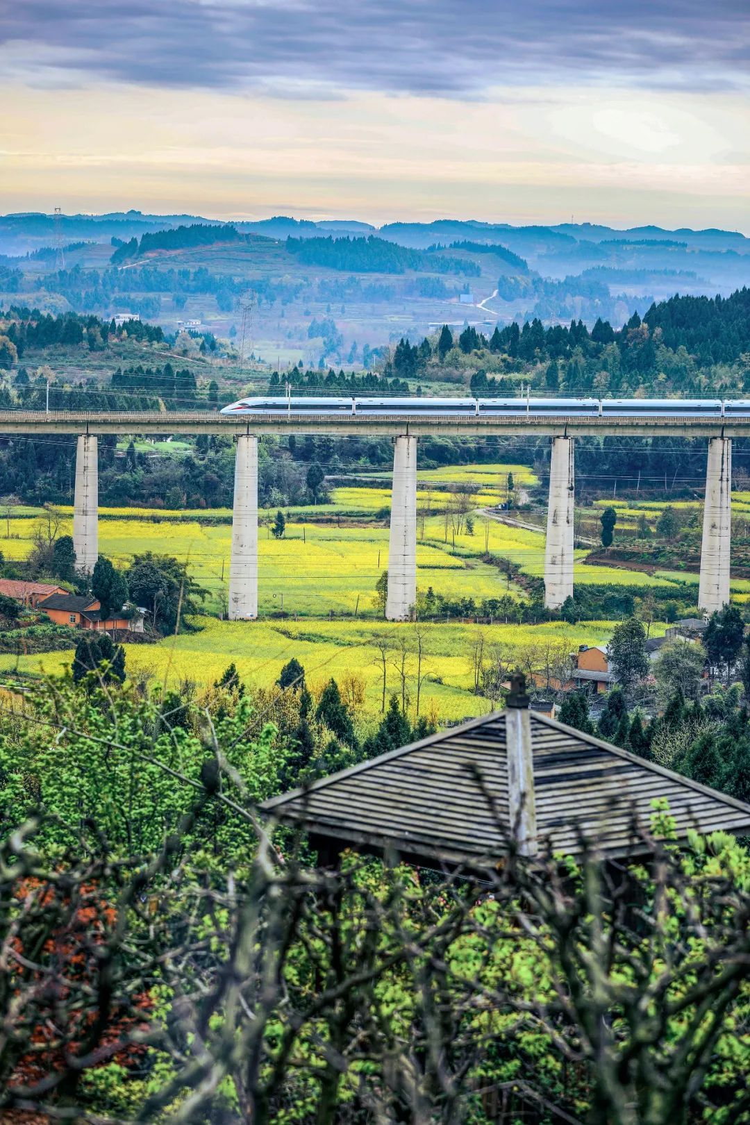 动车组列车行驶在西成高铁德阳市罗江区.袁成奇 摄