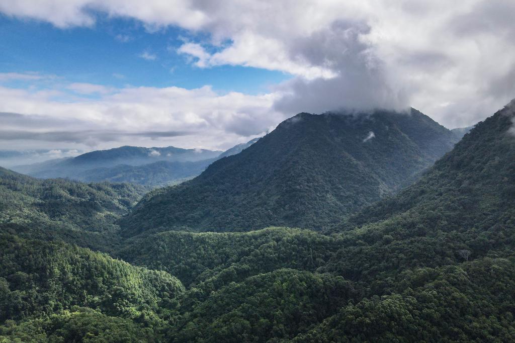 海南热带雨林国家公园五指山片区景色宜人.新华社记者张丽芸 摄