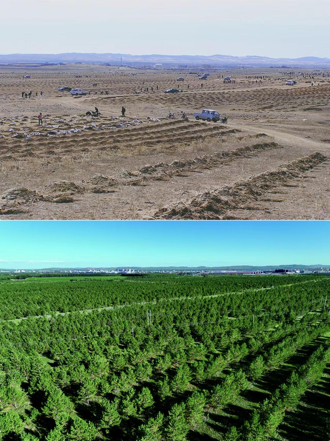 多伦县位于内蒙古中部,锡林郭勒盟东南端,浑善达克沙地南缘,与塞罕坝