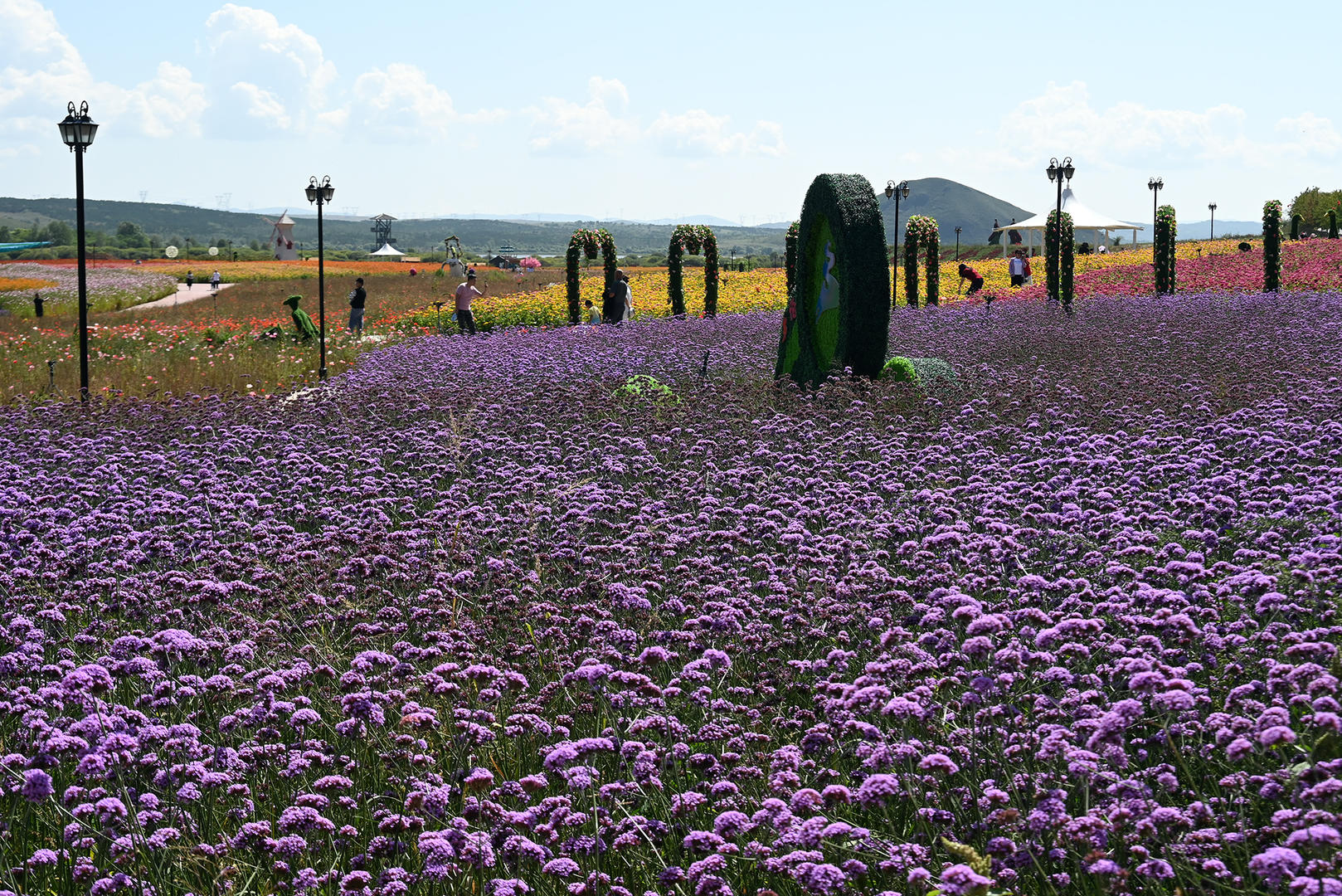 厅牵头举办的中华环保世纪行2023年宣传活动采访团一行走进内蒙多伦