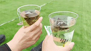 开篇图源公众号：@龙潭中湖公园