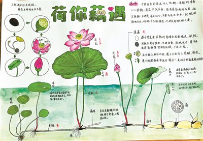 自然笔记大赛等你投稿!