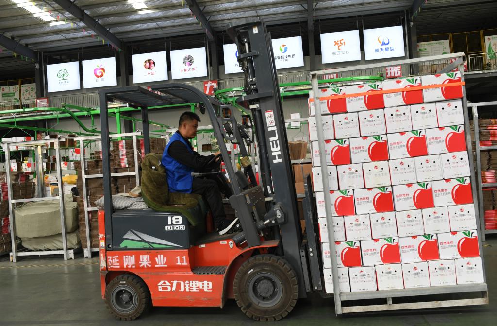 9月10日,在洛川苹果现代产业园,工作人员准备将装箱后的苹果运输上