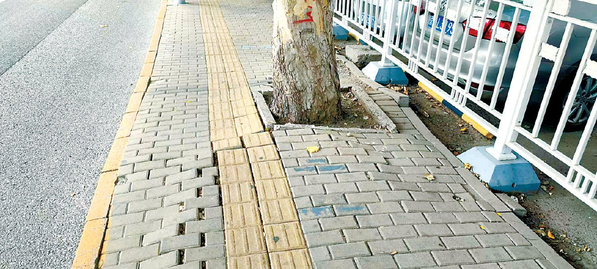 位于朝阳区大羊坊路南北两侧的人行道,由于行道树的树根凸起,导致路面