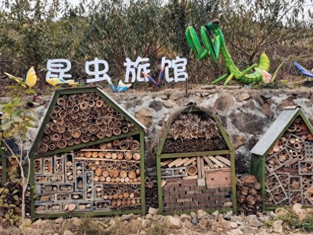 "昆虫旅馆"招"虫"啦!