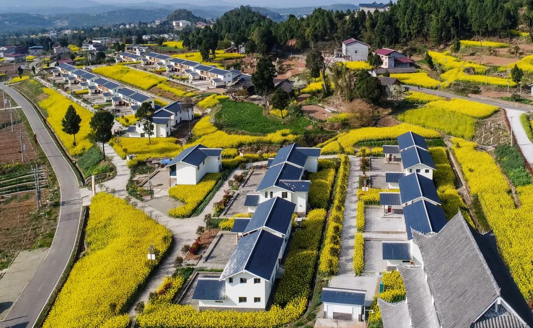四川省广元市苍溪县五龙镇三会村村貌