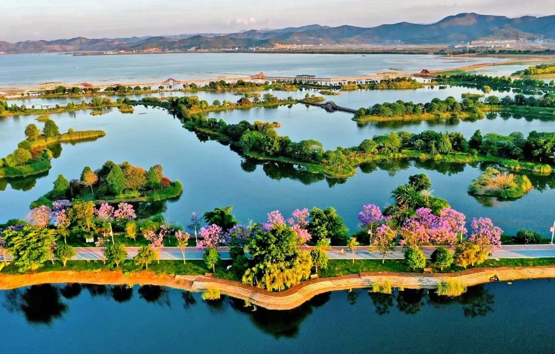 【网评大赛】彩云网评:执"绿"为笔,绘绿美云南生态画卷|云南省_新浪