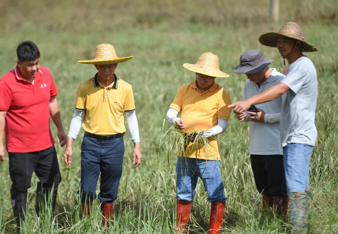 口腔耗材怎么开早安，阳江 ｜ 阳东增设6处电子监控，10月1日起正式抓拍！_https://www.jmylbn.com_新闻资讯_第4张