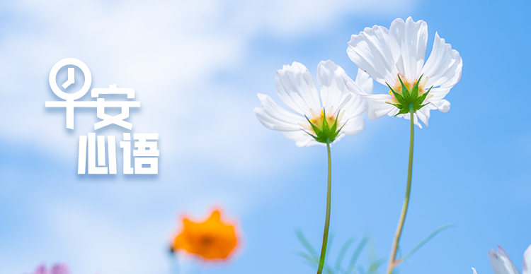 口腔耗材怎么开早安，阳江 ｜ 阳东增设6处电子监控，10月1日起正式抓拍！_https://www.jmylbn.com_新闻资讯_第10张