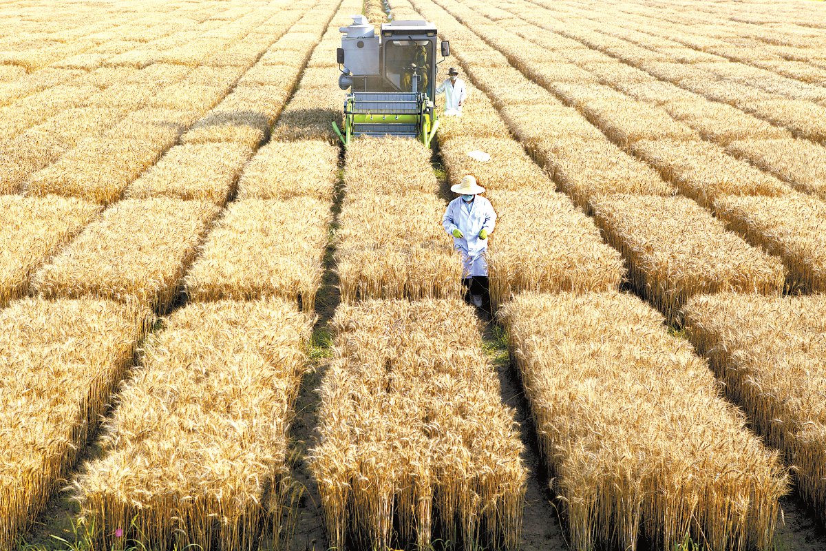 希望的田野|白羽_新浪财经_新浪网