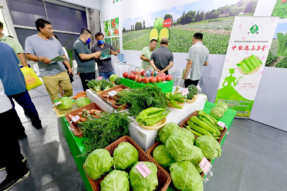 展柜上的各种蔬菜吸引大家驻足围观.记者 常鸣/摄