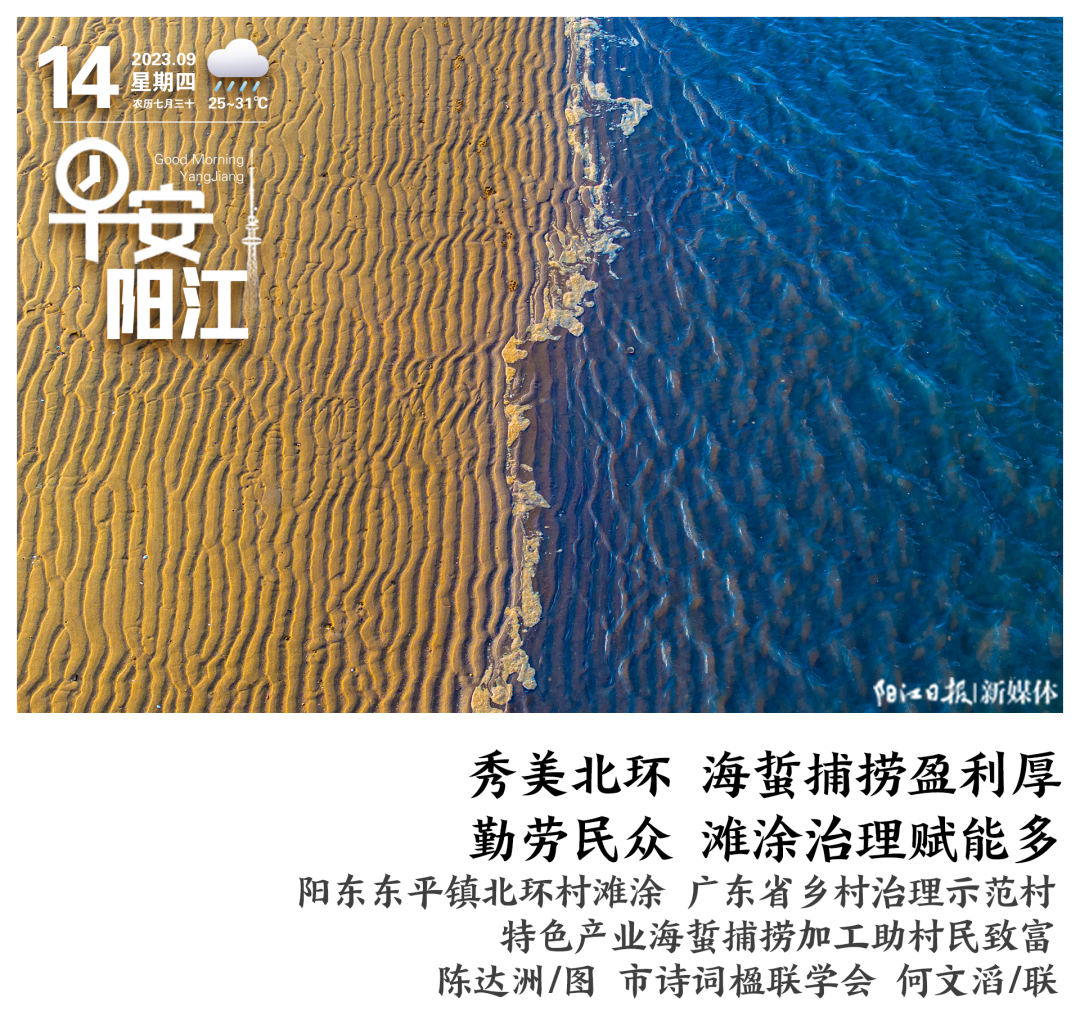 口腔耗材怎么开早安，阳江 ｜ 阳东增设6处电子监控，10月1日起正式抓拍！_https://www.jmylbn.com_新闻资讯_第1张