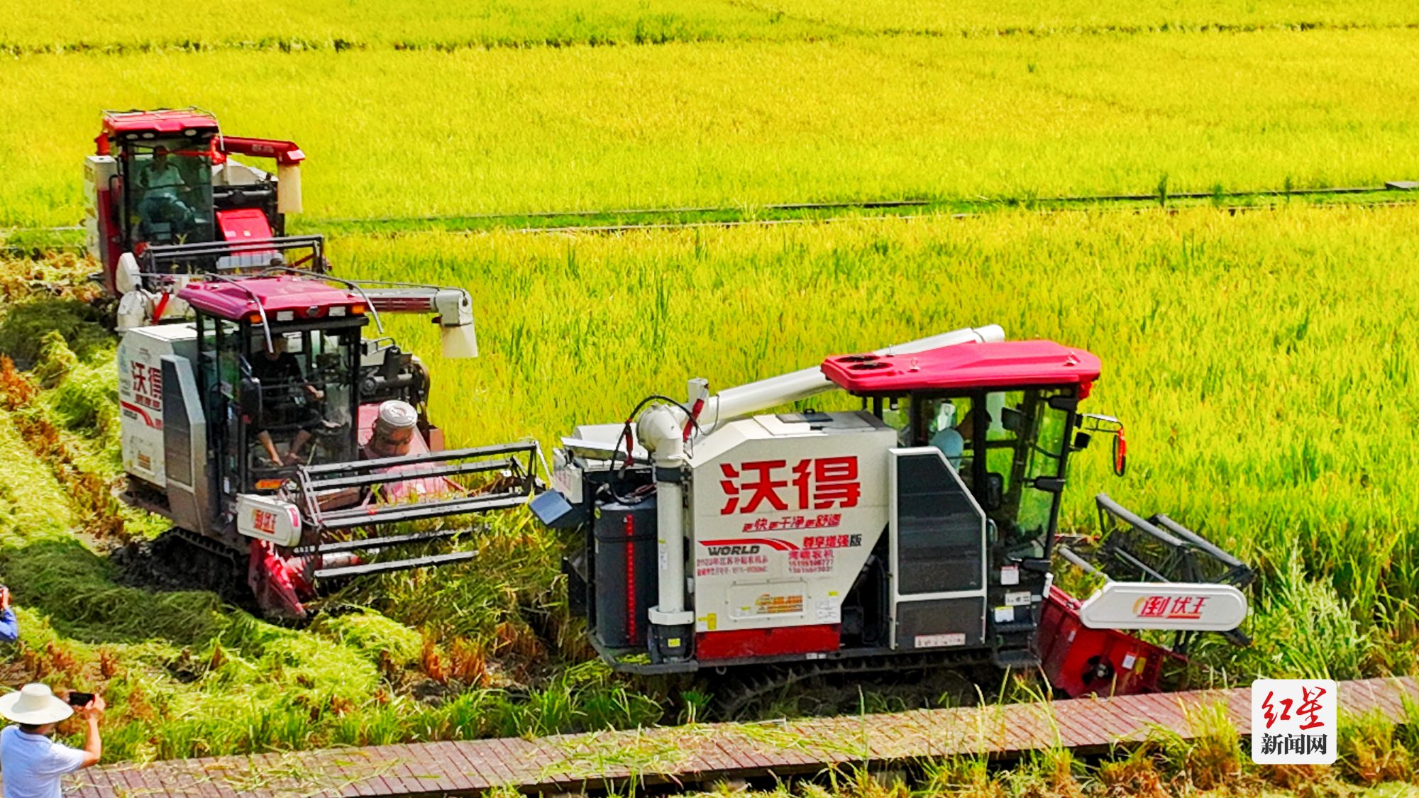 玉米收割机哪个牌子好 小型玉米收割机好用吗