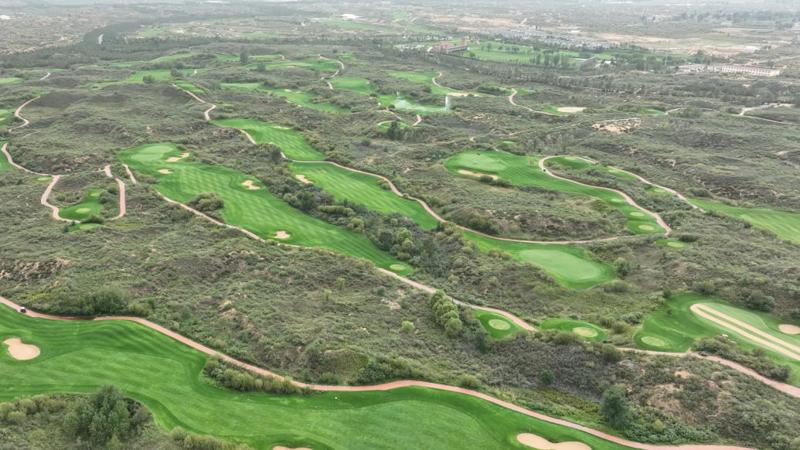 陕西榆林再通报"荒漠化地区违建高尔夫球场":全面关停_新浪财经_新浪