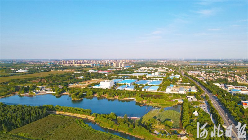 9月13日,俯瞰邢台市任泽区大陆泽国家湿地公园一角.