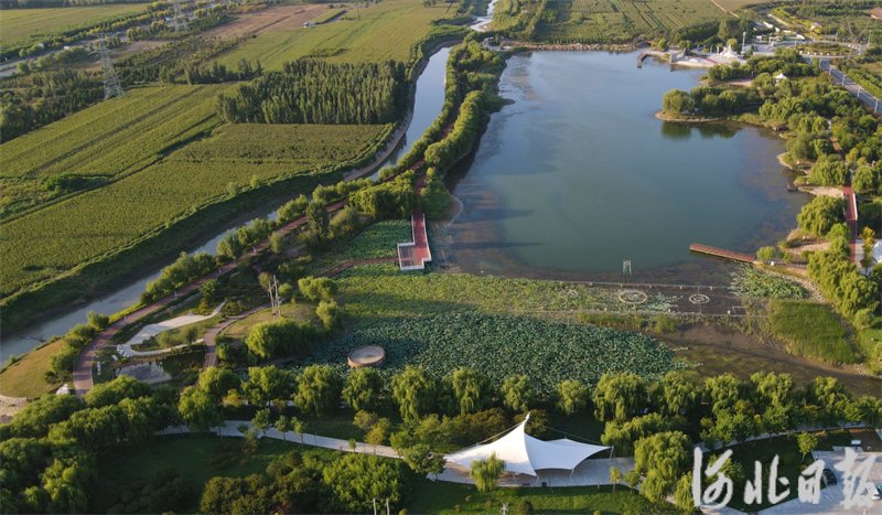 9月13日,俯瞰邢台市任泽区大陆泽国家湿地公园一角.
