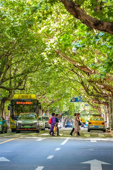 万州白岩路.文旅达人 出逃旅行的煎饼 摄