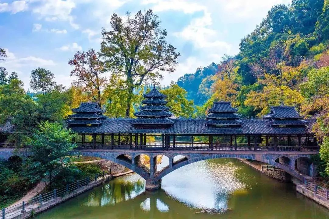 通道侗族自治县播阳镇上湘村,渐渐泛黄的古枫树群,扮靓了这座古朴的