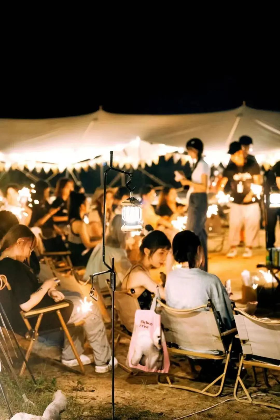 一片绿地,一顶帐篷,三五好友,聊天烧烤,打扑克,遛娃,现场设置了露营