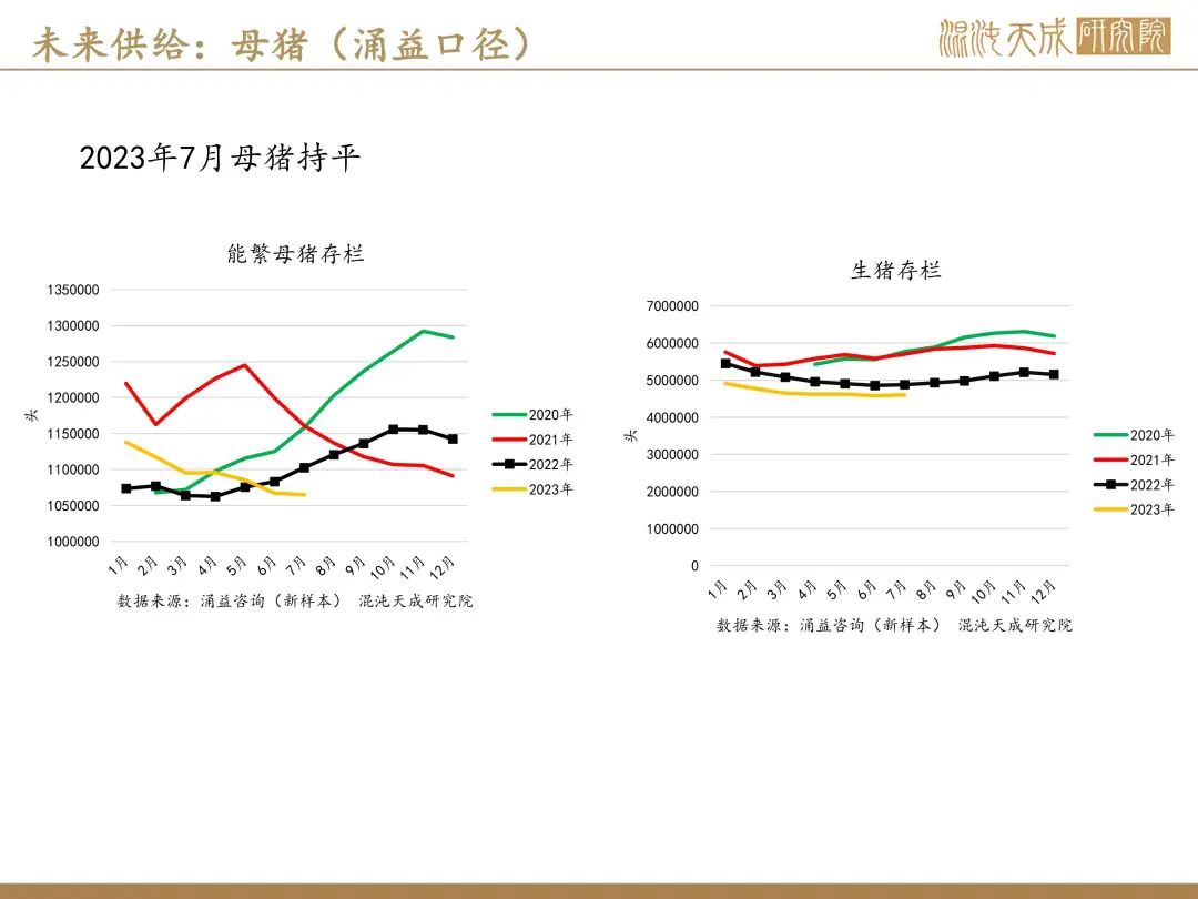 【生猪周报】预期偏强，现货持稳