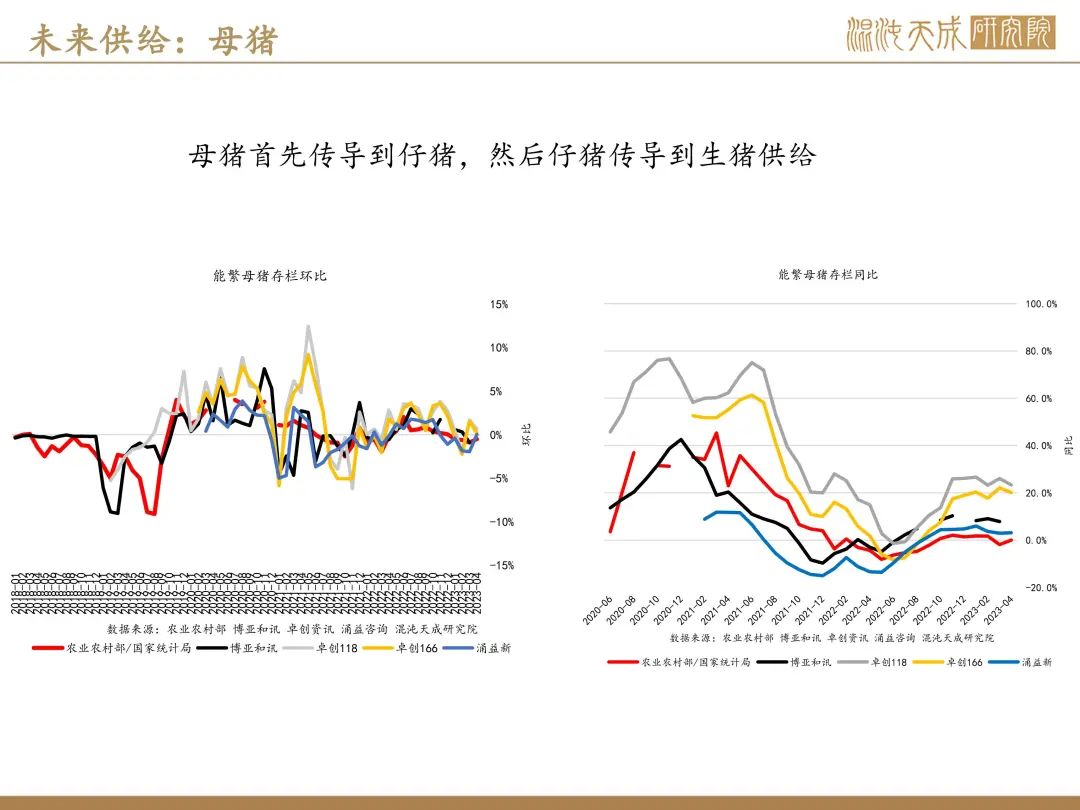 【生猪周报】预期偏强，现货持稳