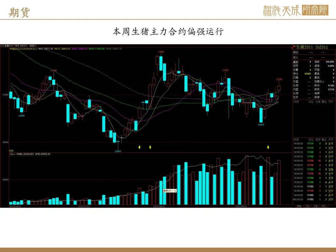【生猪周报】预期偏强，现货持稳