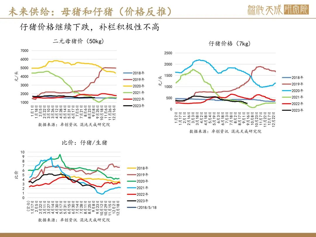 【生猪周报】预期偏强，现货持稳
