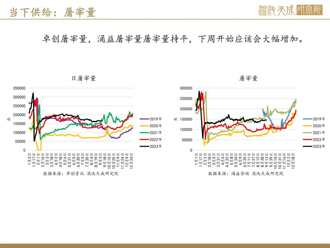 【生猪周报】预期偏强，现货持稳