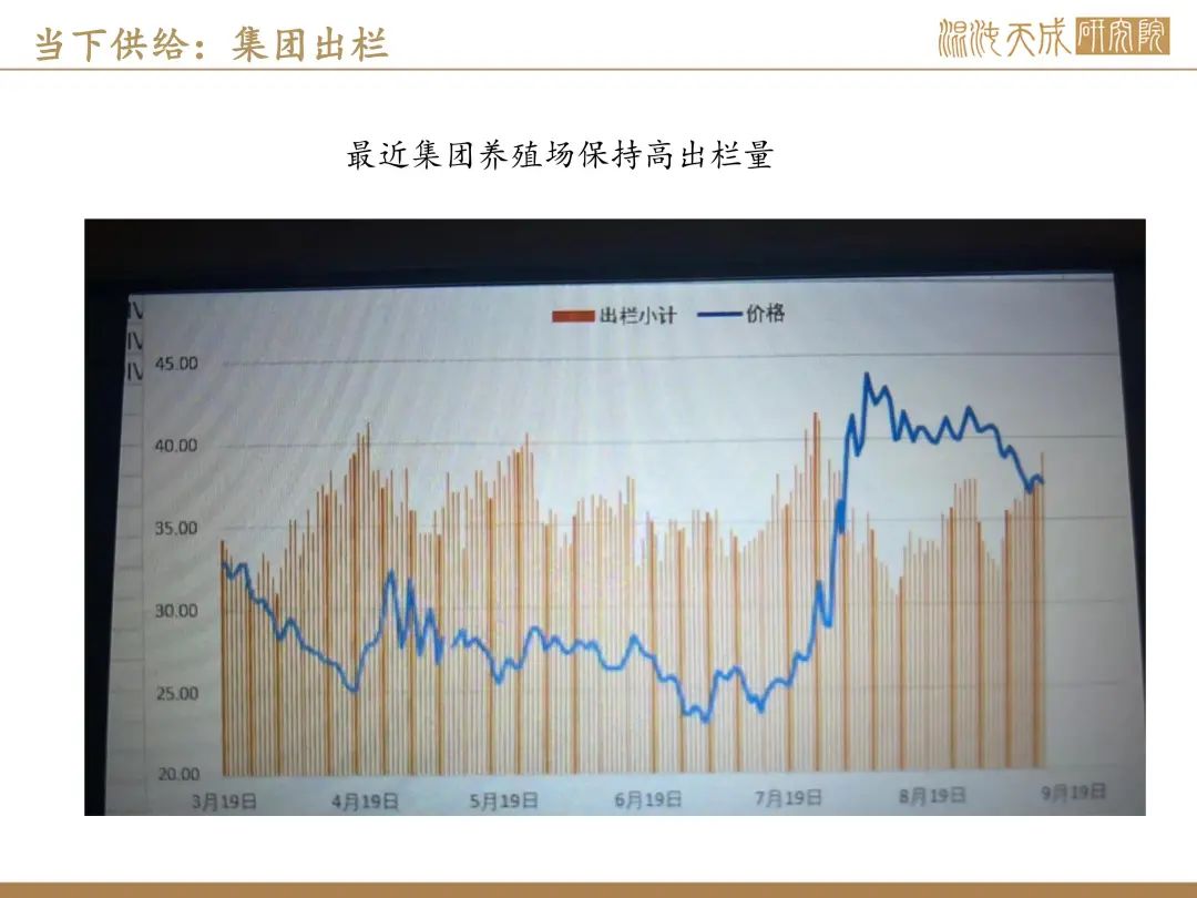 【生猪周报】预期偏强，现货持稳