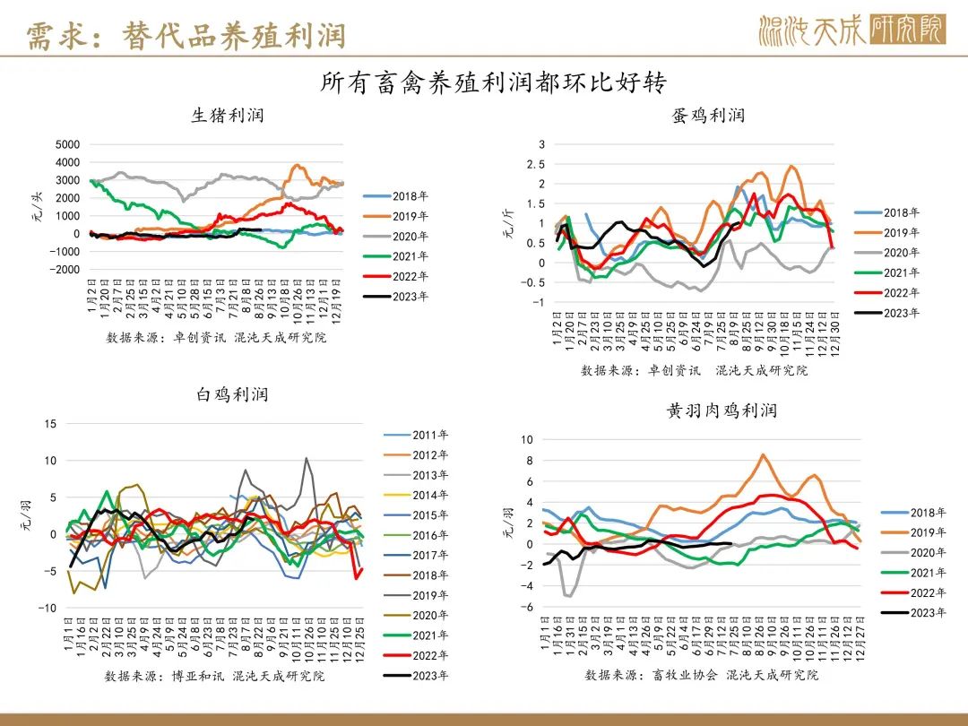 【生猪周报】预期偏强，现货持稳