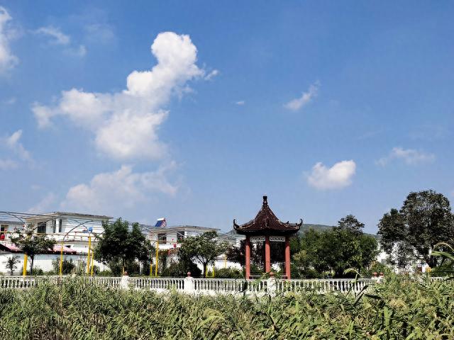 峄城区榴园镇曹马村积极推进乡村振兴_新浪财经_新浪网