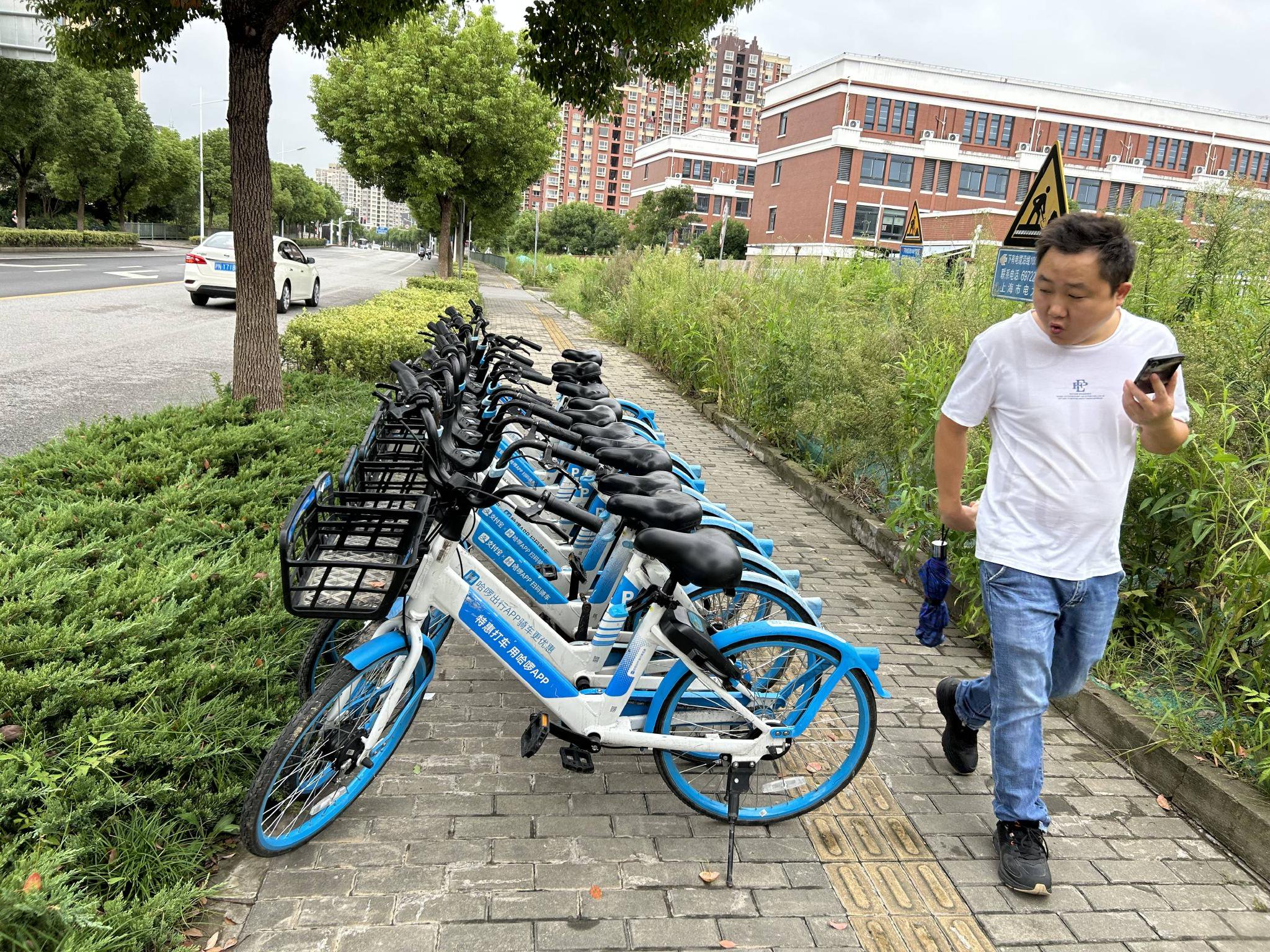 9月14日上午，在上海青浦区徐泾北城地铁站附近，路面停放着共享单车。本文图片均为 澎湃新闻记者 李佳蔚 图