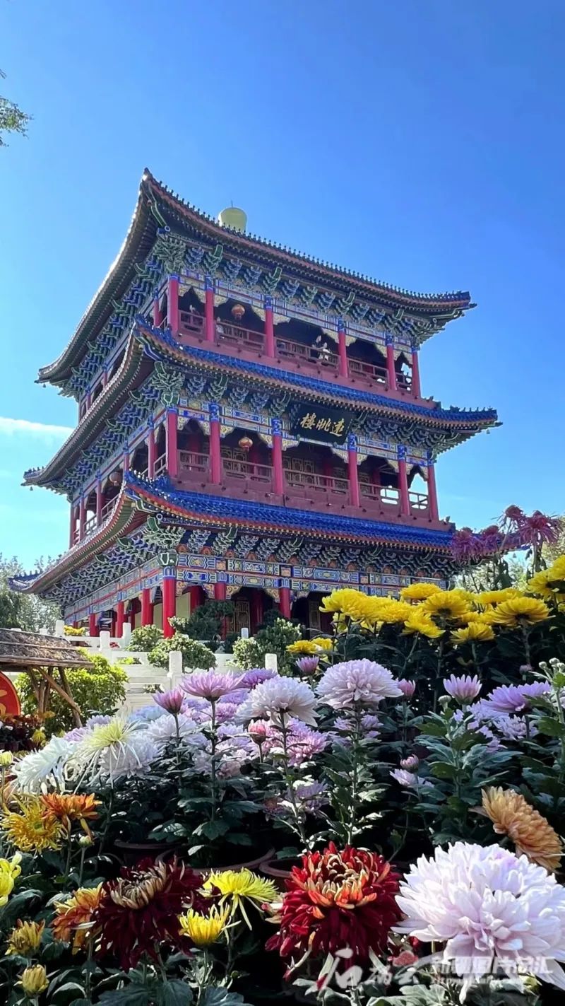 9月18日,乌鲁木齐市红山公园远眺楼前,各色菊花争奇斗艳.