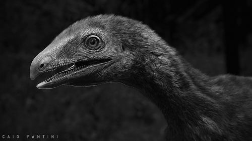 科爾：我們下賽季的目標(biāo)是進(jìn)入季后賽