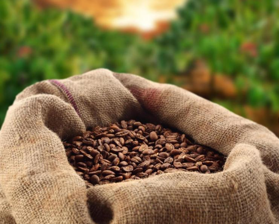 图片源于网络  图文无关  