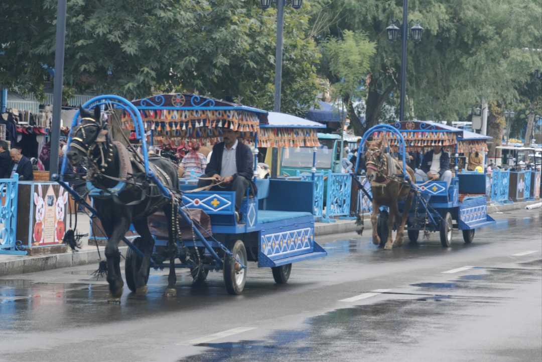 喀赞其景区内,游客乘坐马车游览景区.耿丹丹 摄