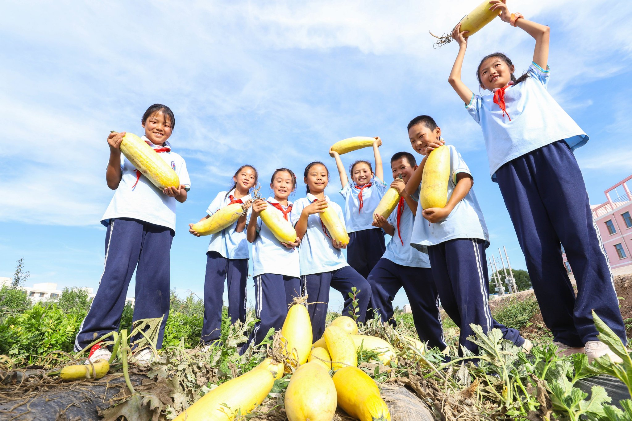 高台县骆驼城镇中心小学学生展示自己采摘的番瓜.王将摄