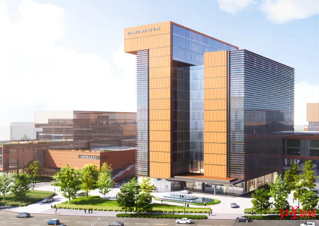 菠菜什么時(shí)候傳入我國 菠菜哪個(gè)朝代傳入我國[多圖]