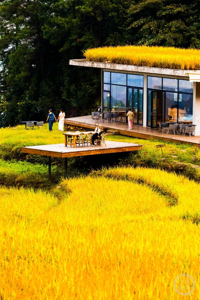 重庆垫江:生态美 文旅兴_新浪财经_新浪网