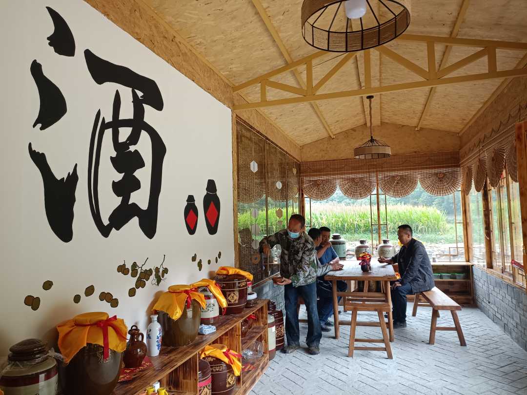游客正在康县岸门口镇贾家坝村"52酒坊"品酒. 李喜桃 摄