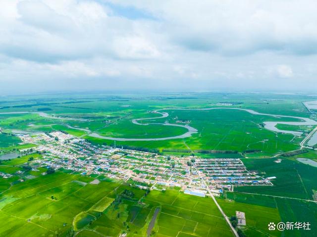 这是2022年7月16日拍摄的吉林省白城市镇赉县大屯镇英台村稻田(无人机