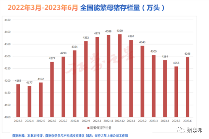 超长磨底期之下，猪周期“失灵”了吗？