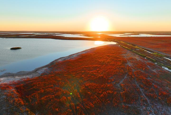 这是2022年9月21日拍摄的吉林省白城市镇赉县莫莫格湿地(无人机照片).