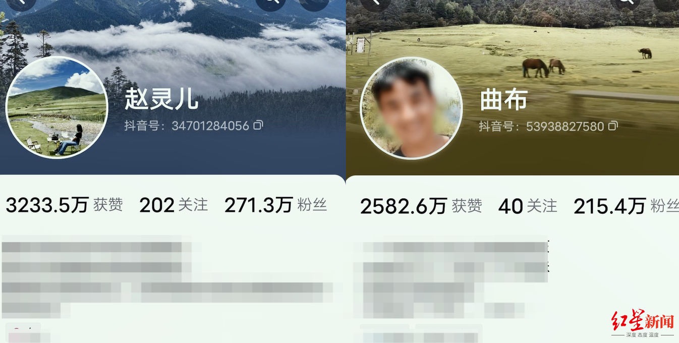 ▲网红“赵灵儿”和“曲布”粉丝均超过200万