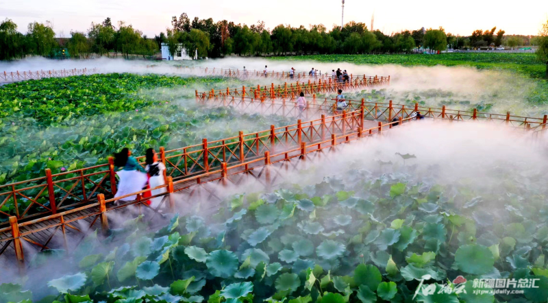 8月13日,游客在青格达湖旅游风景区游览.通讯员王梓林摄