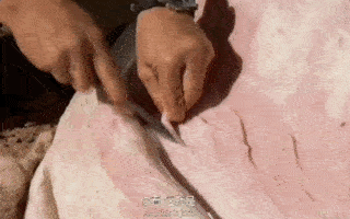 “生吃爆浆大虫子他都没吐”