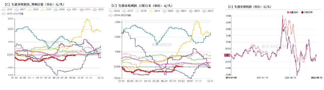 数据来源：钢联，紫金天风期货研究所